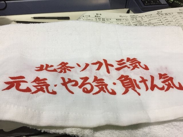 大相撲の理事選挙は子供会のソフトボールそのもの？
