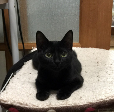 あなたならどうしますか？