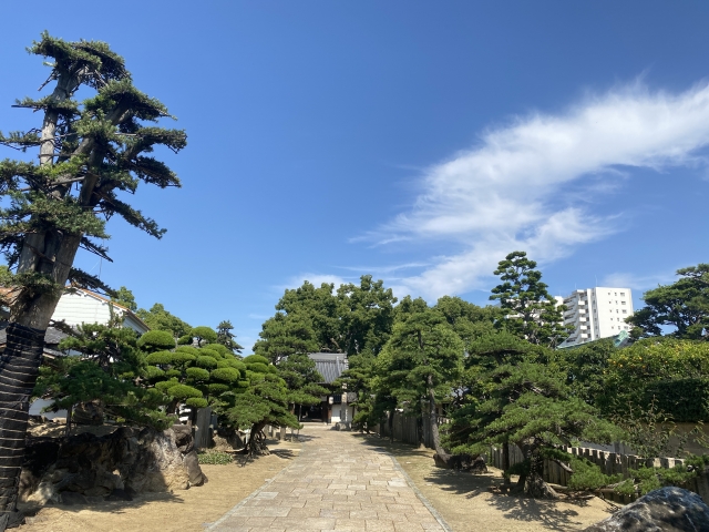 初老の体をどんどんといじめて健康になってみる